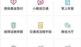 通行证最新爆料信息查询,通行证政策调整，带你全面了解最新动态