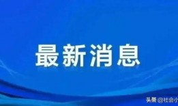 山东临沂爆料最新消息视频,视频揭示惊人事件！