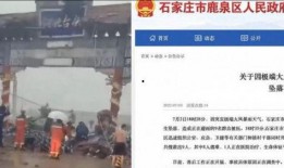 石家庄北小时最新爆料事件,事件真相揭秘