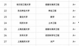 第五轮学科评估最新爆料,揭秘各学科排名与高校实力新格局”