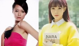 沈梦辰王菊最新爆料,揭秘娱乐圈幕后故事