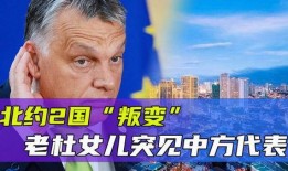 老杜最新爆料消息,揭秘娱乐圈惊人内幕