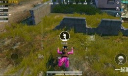 吃鸡烟雾弹爆料最新,最新爆料揭示战场神秘武器